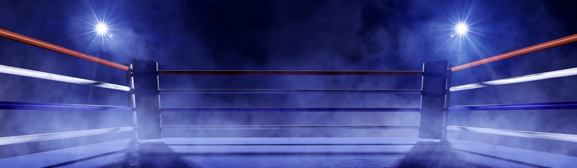 boxing-ring-pro.jpg