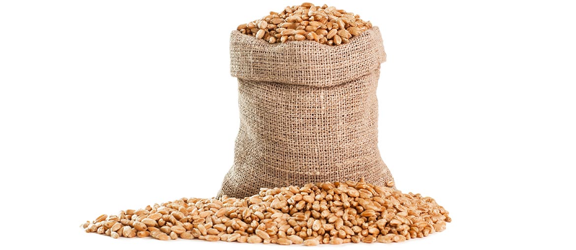 bag-of-grain.jpg